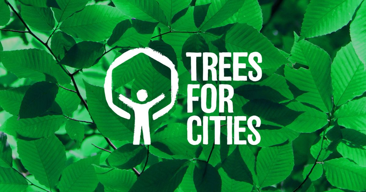 William Joseph Trees For Cities Growing This Tree Planting