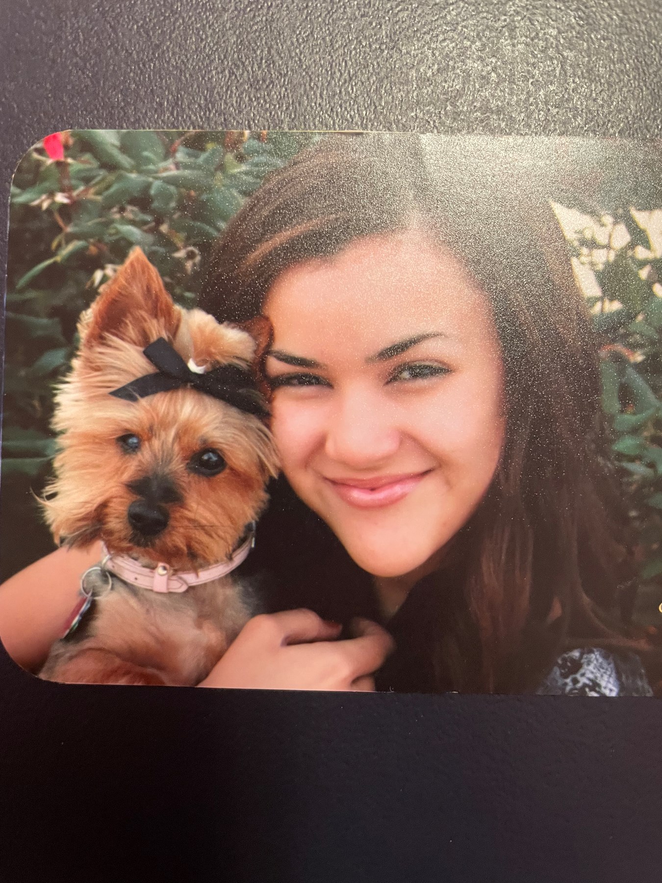 Hayley Cook Obituary Columbus Oh