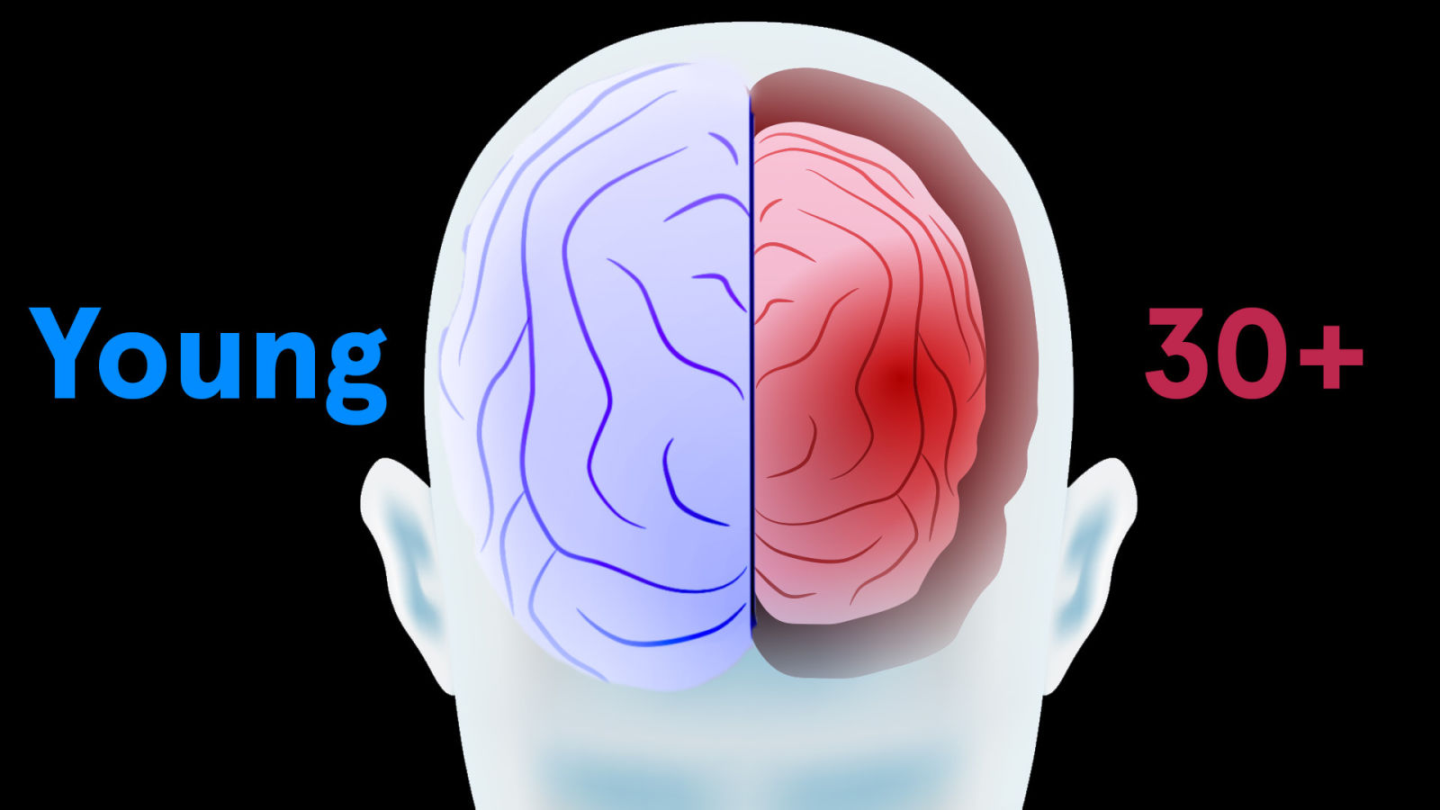 How Every Organ in Your Body Ages From Head to Toe