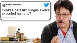 Mycologist Answers Mushroom Questions From Twitter