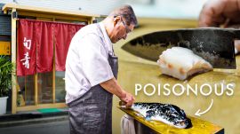 Chefs Train for Years to Serve This Rare Poisonous Fish