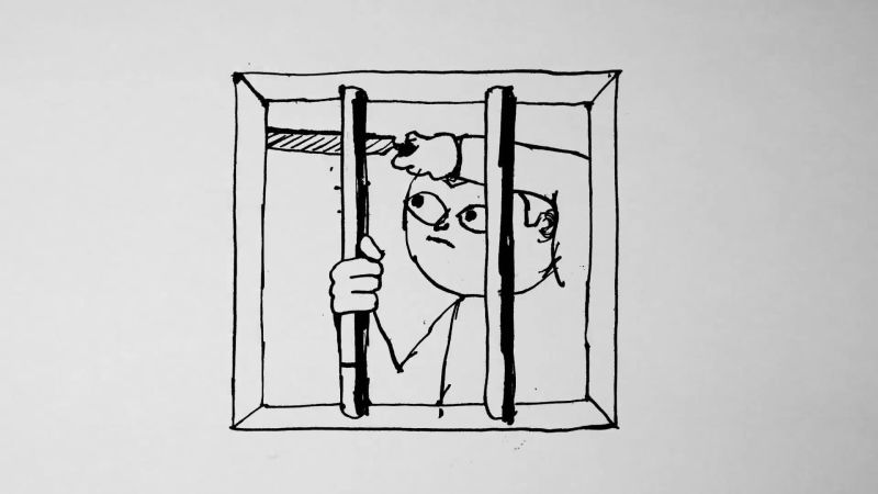 Sharing Slow Ideas The New Yorker