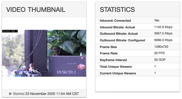 Video thumbnail and statistics panel