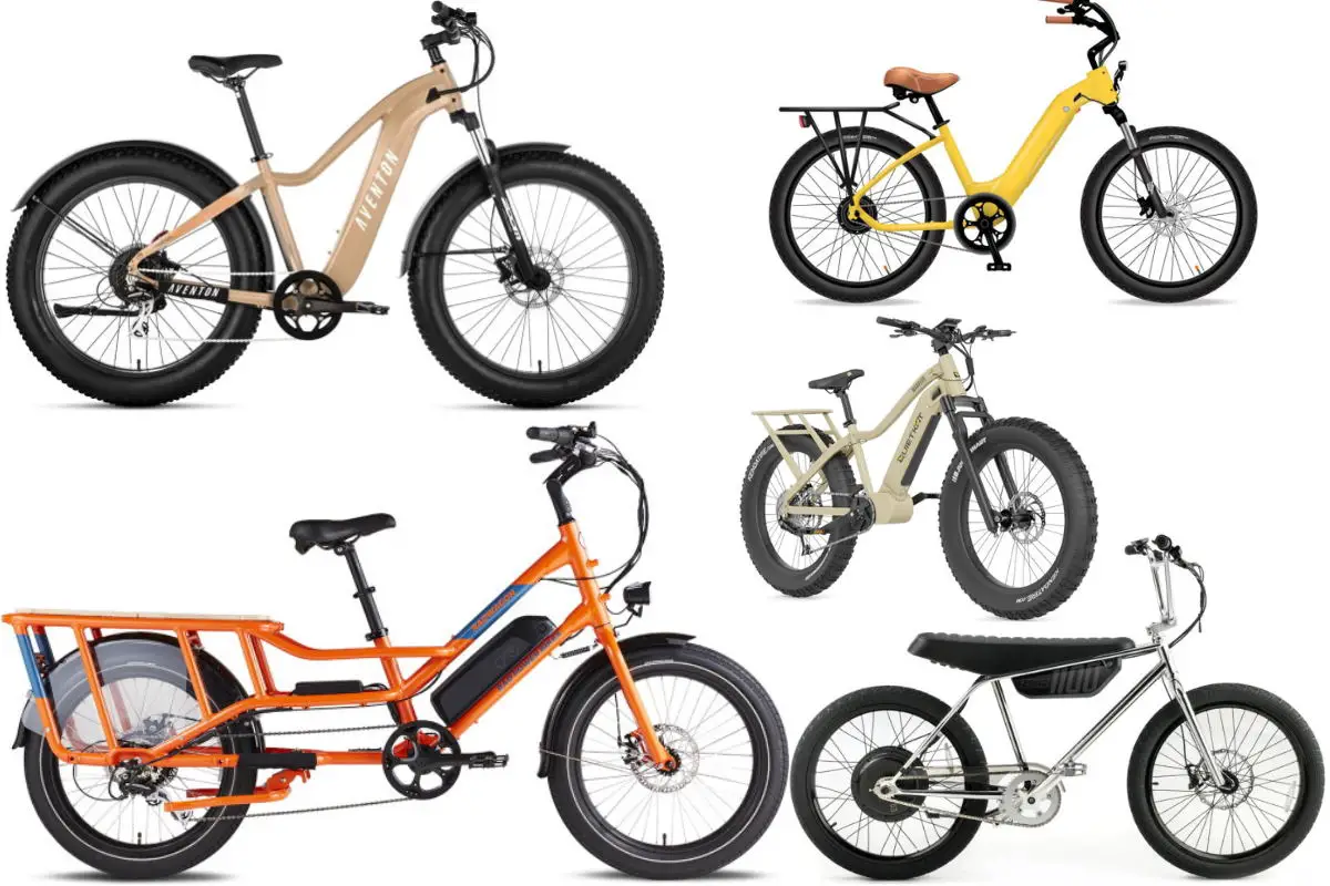 Best Electric Bike For Heavy Riders