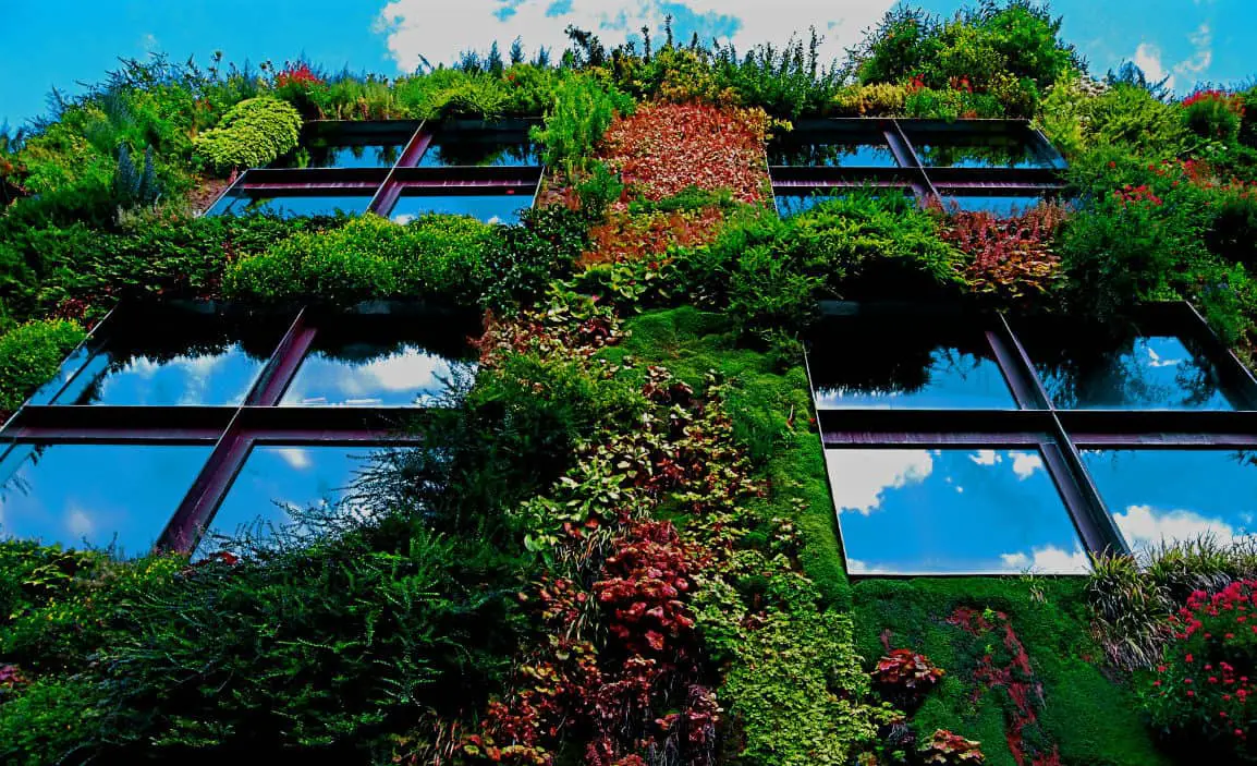The Rise And Rise Of Green Walls
