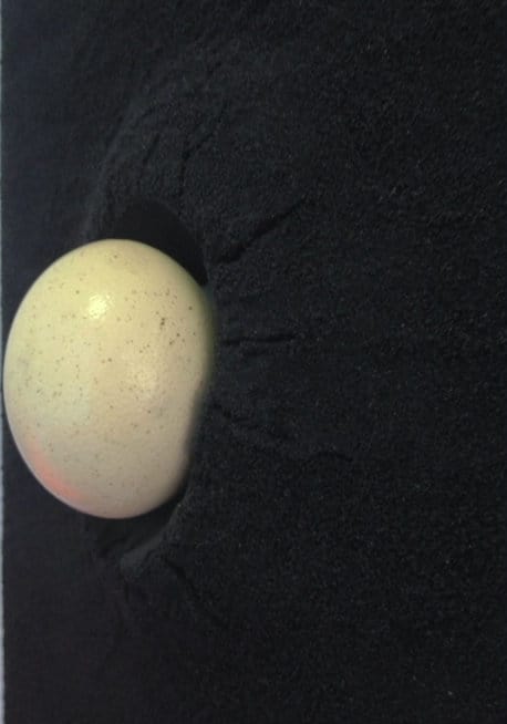 Bettina Werner Salt Egg