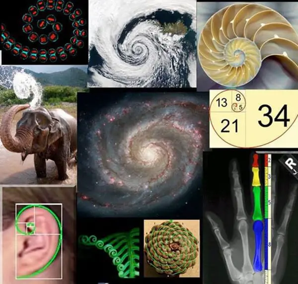 fibonacci-demo