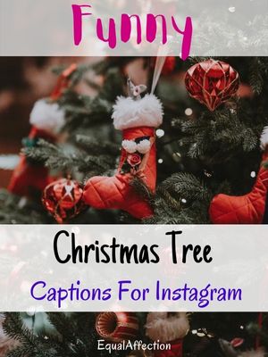 Funny Christmas Tree Captions For Instagram