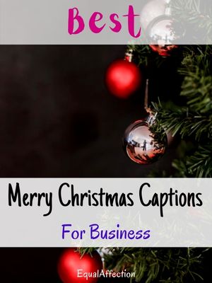 Merry Christmas Captions For Business