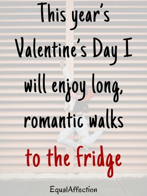 Funny Single Valentines Day Quotes