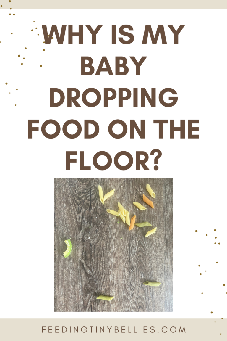 Help! My Baby Is Dropping Food On The Floor!