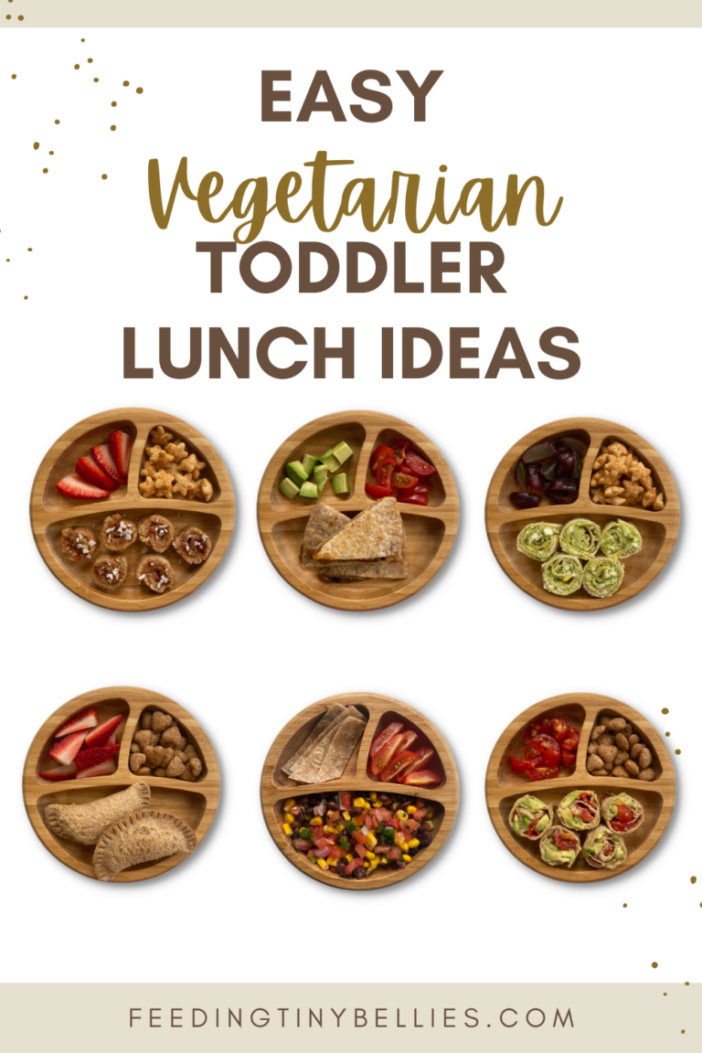 Vegetarian Toddler Meals (6 Easy Lunch Ideas)