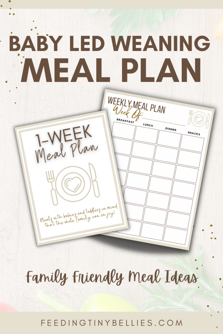 Baby Led Weaning Meal Plan (Toddler And Family Meal Ideas)