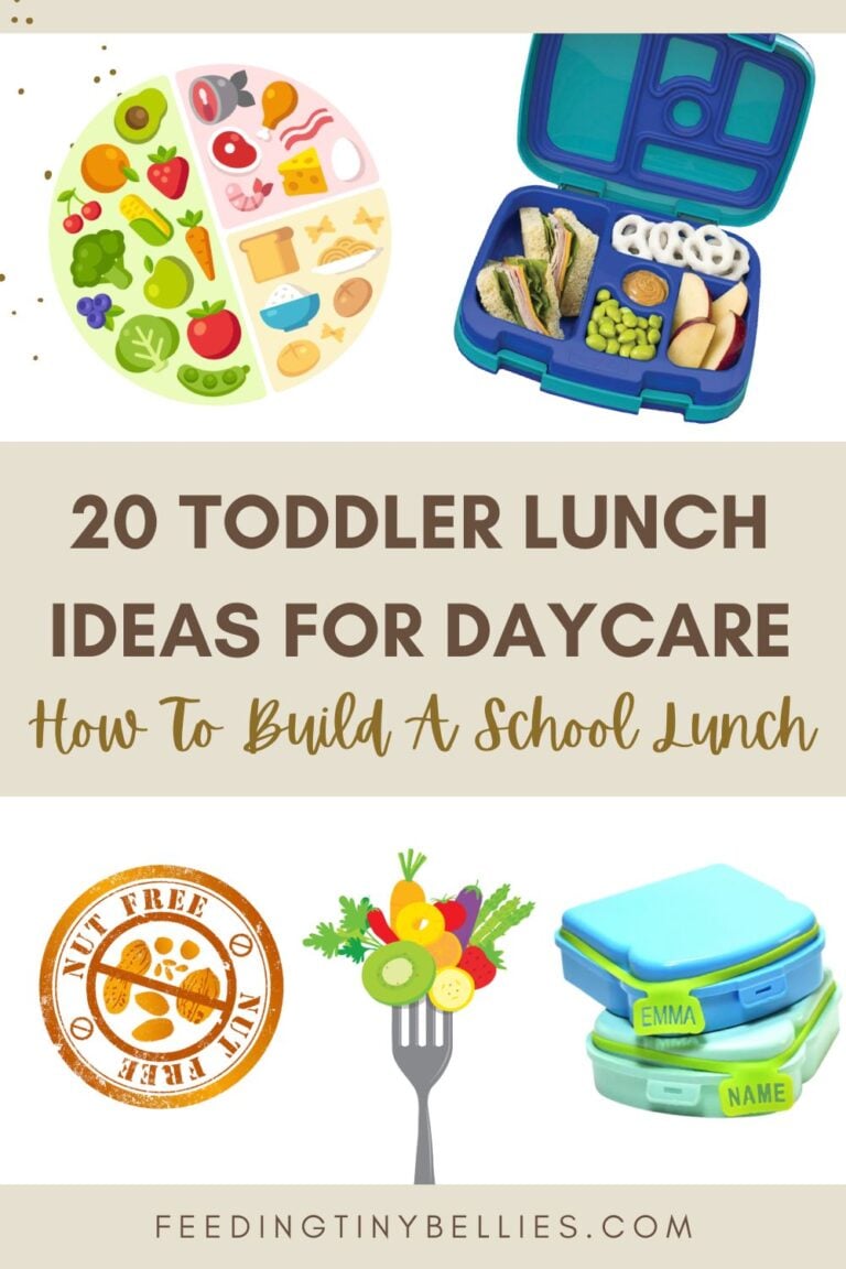 20 Toddler Lunch Ideas For Daycare