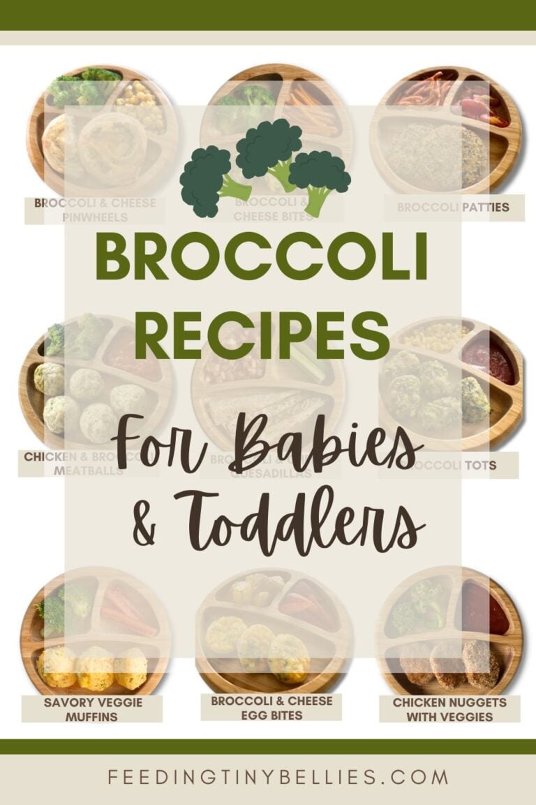 Broccoli Recipes For Babies And Toddlers