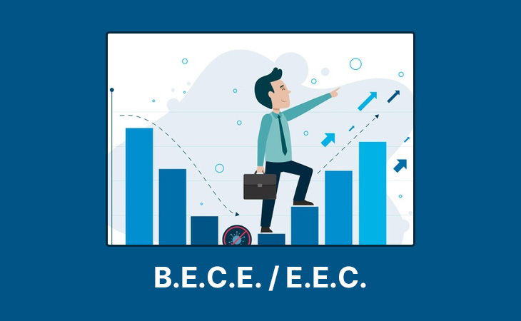 BECE- BA Economics Assignment