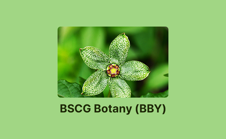 BSCG Botany Solved Assignments