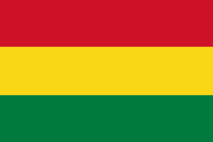 Die Flagge von Bolivien besteht aus zwei horizontalen Streifen: oben ist der Streifen rot, unten ist der Streifen gelb. In der linken oberen Ecke des roten Streifens befindet sich ein grüner Kreis mit einem stilisierten Abbild des Anden-Kondors und einem Eichenzweig. Die Farben und das Symbol repräsentieren das Blut der Helden, die Ressourcen des Landes und die Verbundenheit mit der Natur.