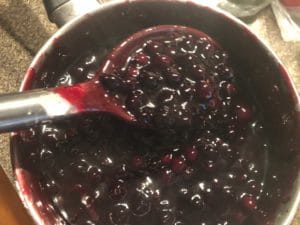 Saskatoon Berry Pie Filling and Sauce (11)
