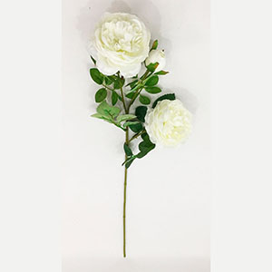 Vara de rosas blancas - Galerías el Triunfo - 291001736500