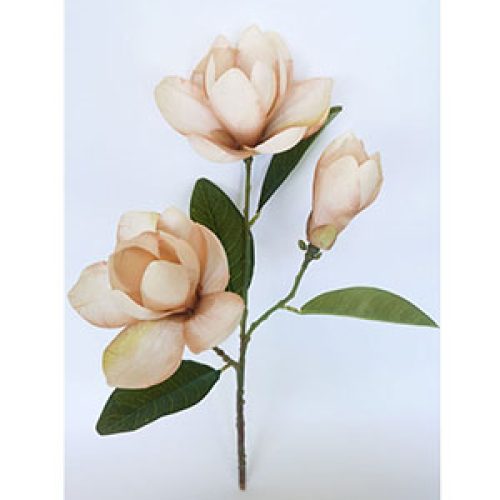 Vara con 3 Magnolias - Galerías el Triunfo - 022032746110