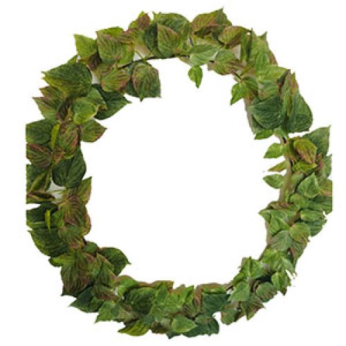 Corona de hojas verdes - Galerías el Triunfo - 022032746195
