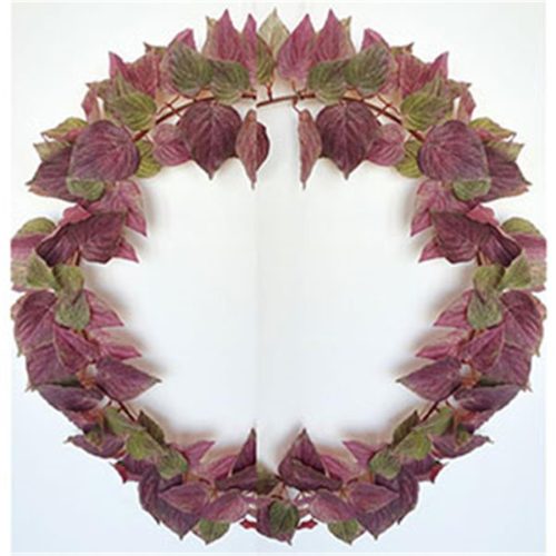 Corona de hojas moradas - Galerías el Triunfo - 022032746197