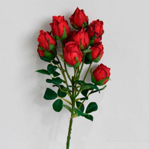 Ramo de 11 rosas - Galerías el Triunfo - 025072097062