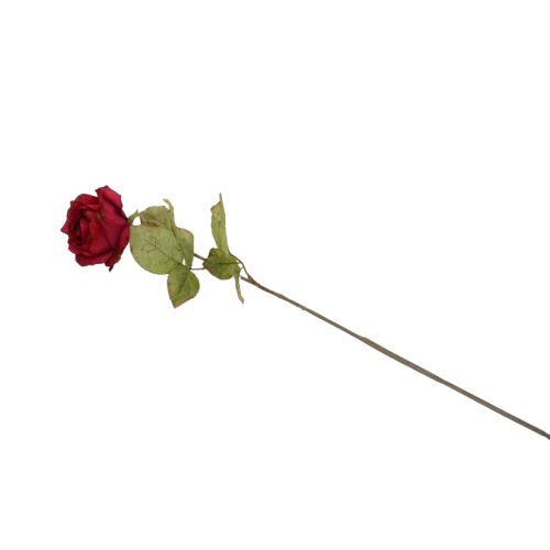 Flores secas de Rose - Galerías el Triunfo - 025072097104