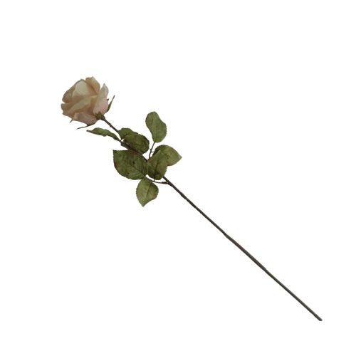 Flores secas de Rose - Galerías el Triunfo - 025072097106