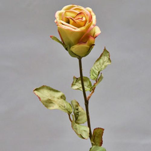 Flores secas de Rosa - Galerías el Triunfo - 025072097111