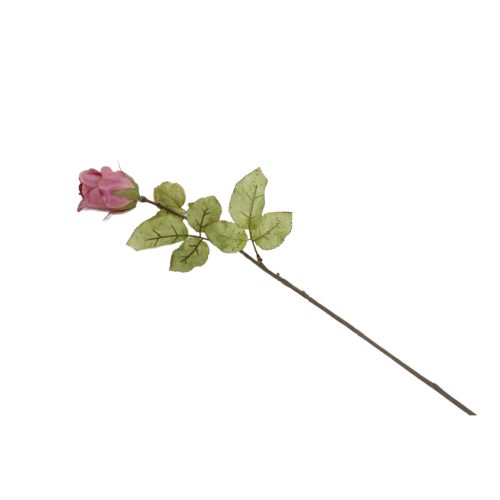 Flores secas de Rosa - Galerías el Triunfo - 025072097113