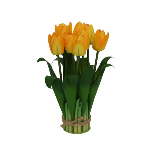 Ramo de 9 tulipanes - Galerías el Triunfo - 025072097124