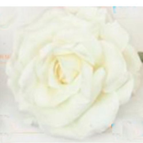 Flor con rosa blanca - Galerías el Triunfo - 028071005188
