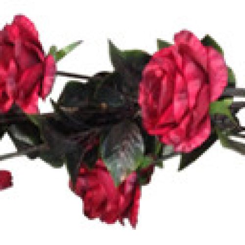 Vara de Rosas rojas - Galerías el Triunfo - 171071736944