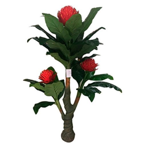 Planta de hojas - Galerías el Triunfo - 241171736502