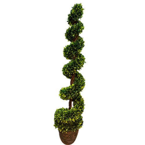 Arbusto verde en maceta - Galerías el Triunfo - 271001736445