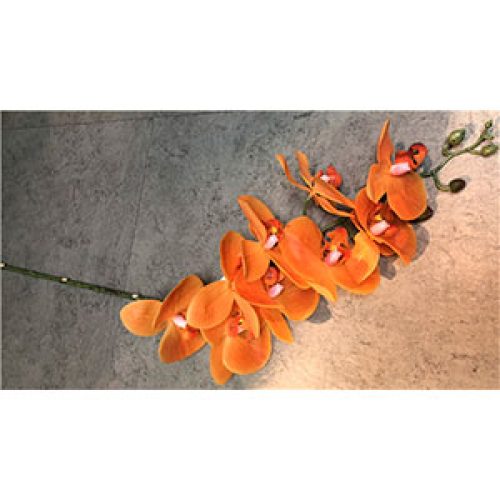 Vara de orquideas naranjas - Galerías el Triunfo - 281001736588