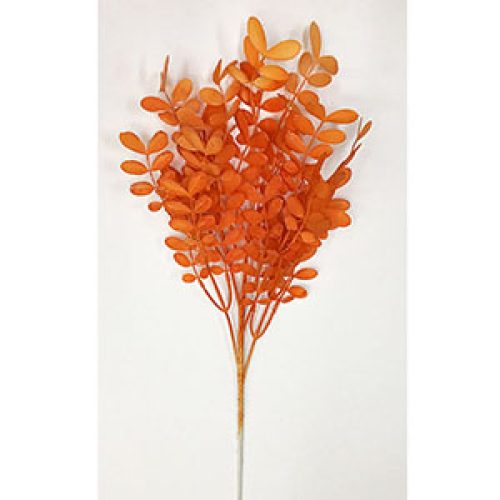 Vara de hojas naranja - Galerías el Triunfo - 291001736256