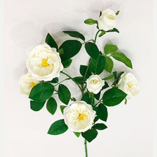 Vara de rosas blancas - Galerías el Triunfo - 291001736495