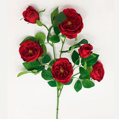 Vara de rosas rojas - Galerías el Triunfo - 291001736499