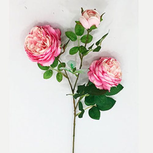 Vara de rosas rosa - Galerías el Triunfo - 291001736501