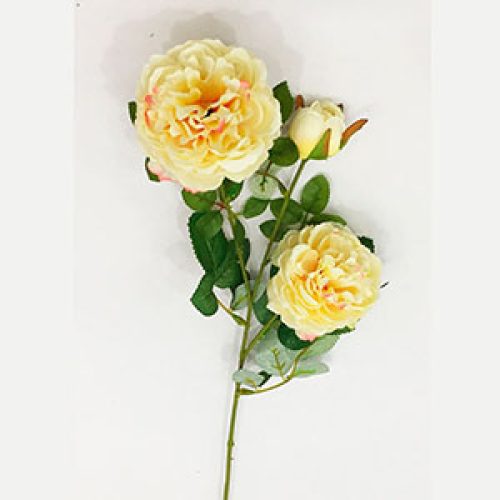Vara de rosas beige - Galerías el Triunfo - 291001736503