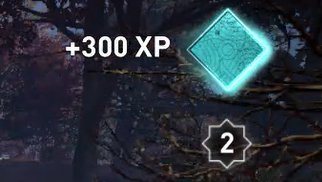 Rewards Experience