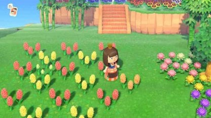 Plant Red & Yellow Hyacinths To Get Orange