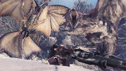 MHW - Beginner