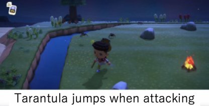 tarantula jumping