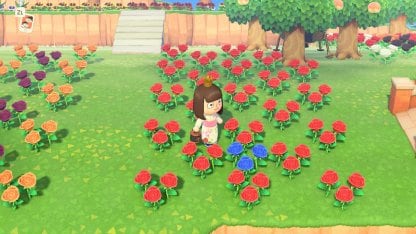 Plant Hybrid (Red) Together To Get Blue Roses