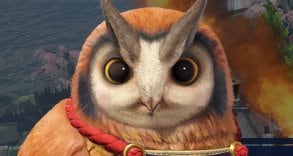 cohoot