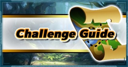 Challenge Guide